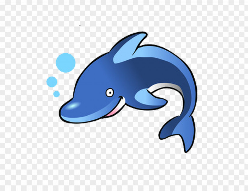 Cartoon Dolphin Free Content Clip Art PNG