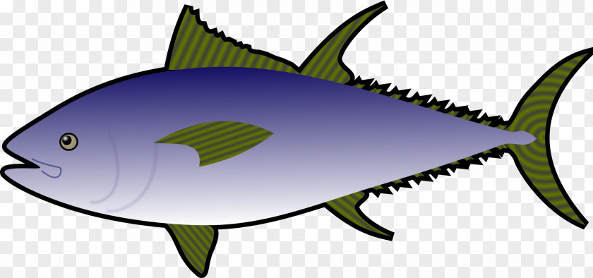 Fishing Tuna Fish Sandwich Charlie The Clip Art PNG