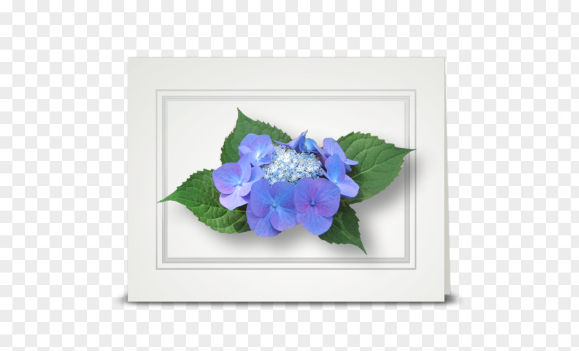 Hydrangea Cut Flowers Violet Floristry PNG