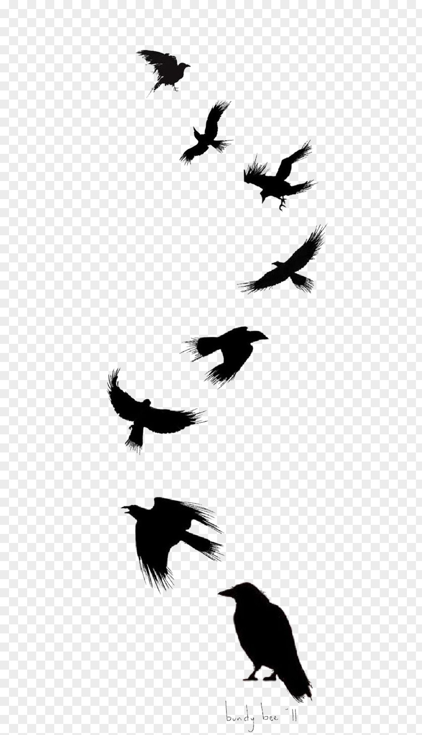 Ink Crow Common Raven Bird Tattoo Drawing Flight PNG
