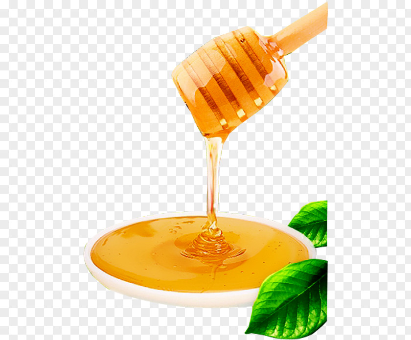 Natural Honey Bee Food Candy PNG