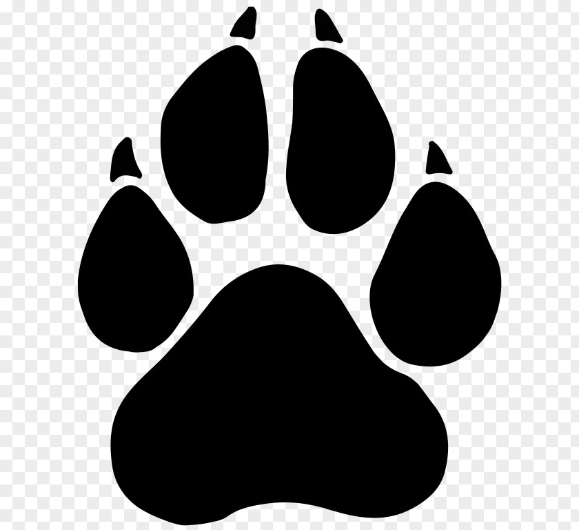 Pawpaw Black Panther Paw Dog Tiger Clip Art PNG