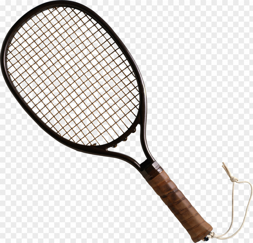 Tennis Racket Material Tecnifibre Strings Squash PNG