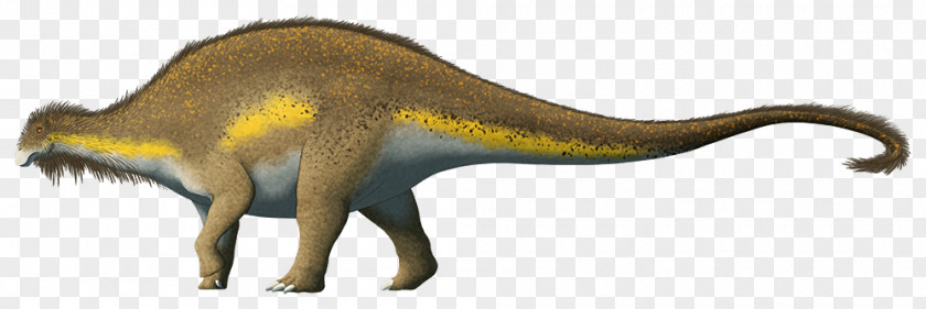 Tyrannosaurus Pachycephalosaurus Velociraptor Background PNG