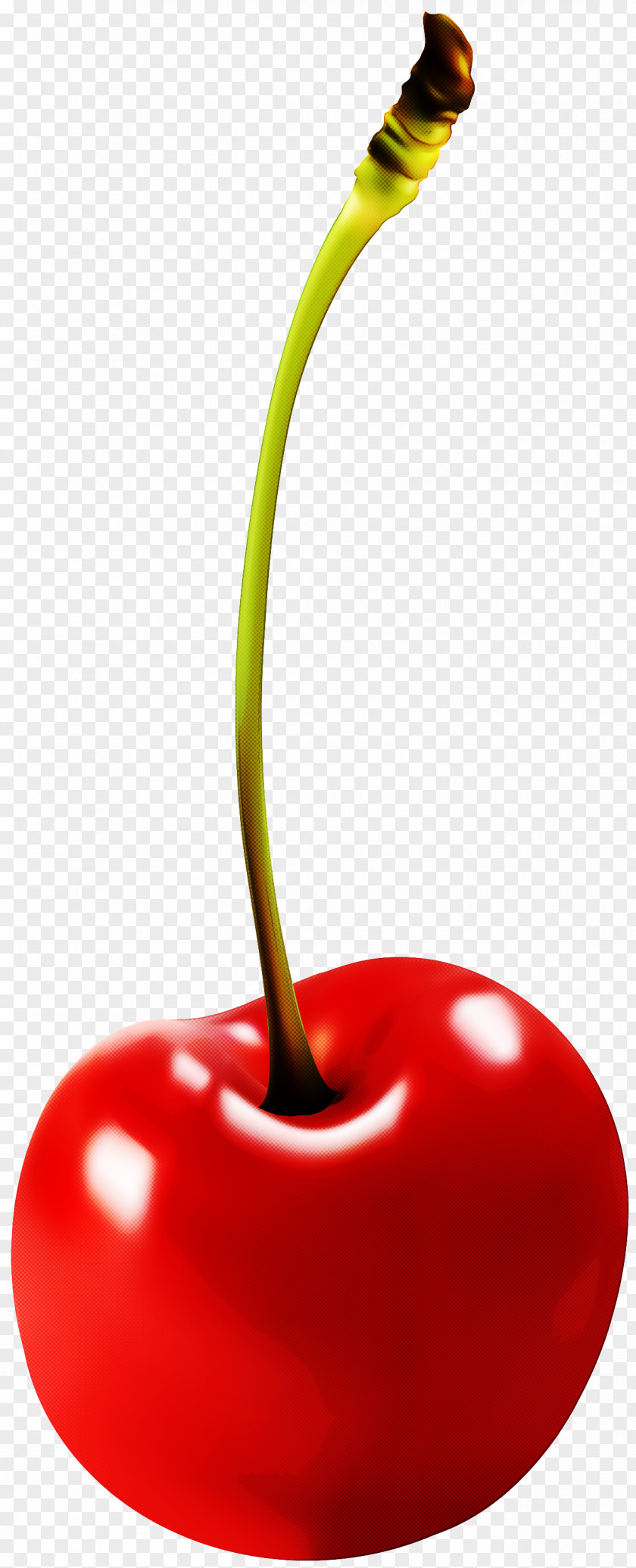 Cherry Red Fruit Plant Food PNG