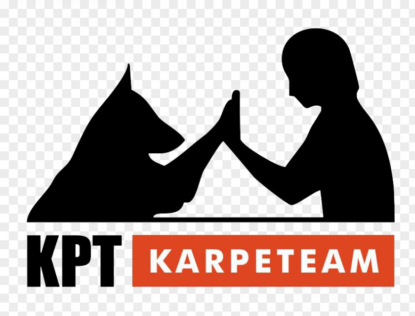 Context Szkolenie Psów KarPeTeam Mammal Human Behavior Author Cat PNG