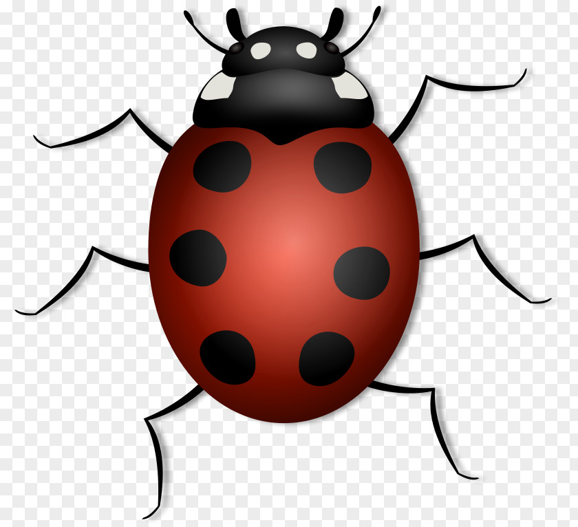 Free Barnyard Clipart Beetle Ladybird Clip Art PNG