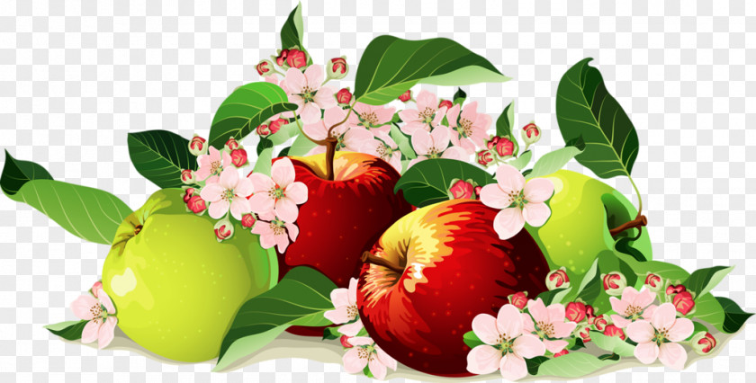 Green And Red Apples Apple Still Life PNG