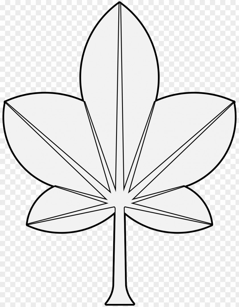 Leaf Petal Line Art Symmetry Clip PNG