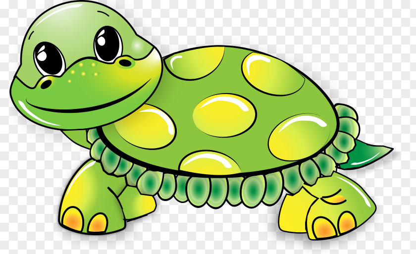 Turtle Clip Art Free Content Image PNG