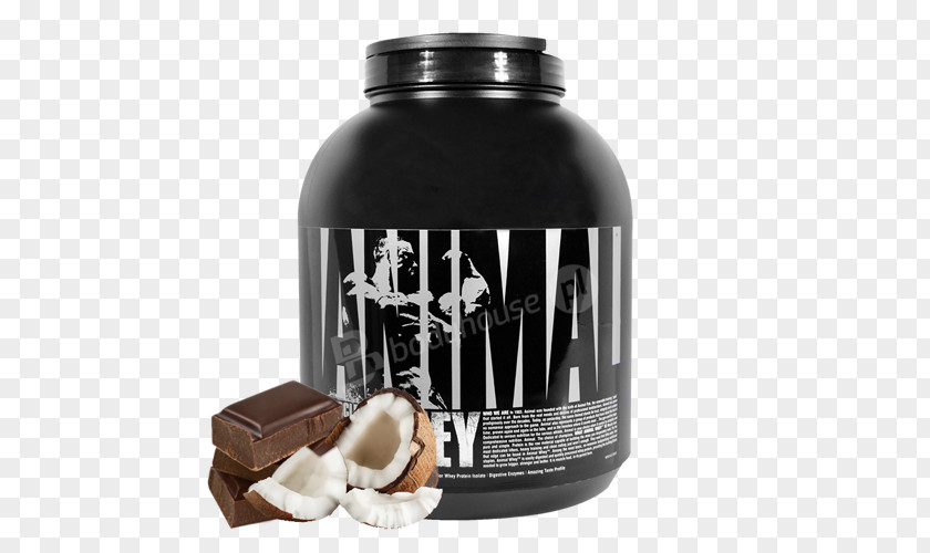 Coconut Candy Dietary Supplement Whey Protein Isolate PNG