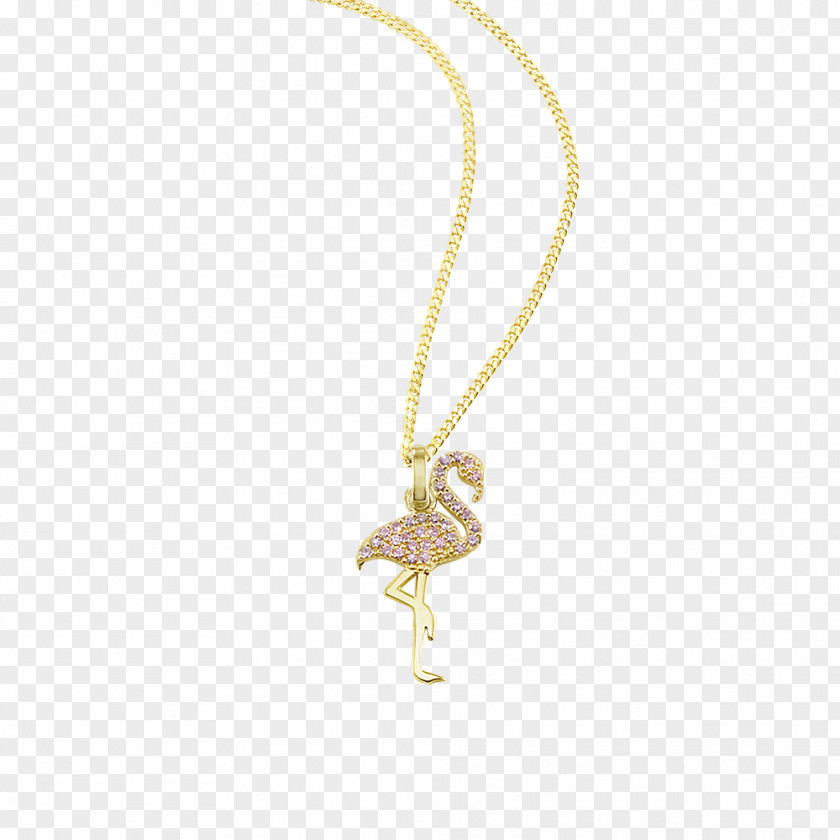 Necklace Charms & Pendants Body Jewellery PNG