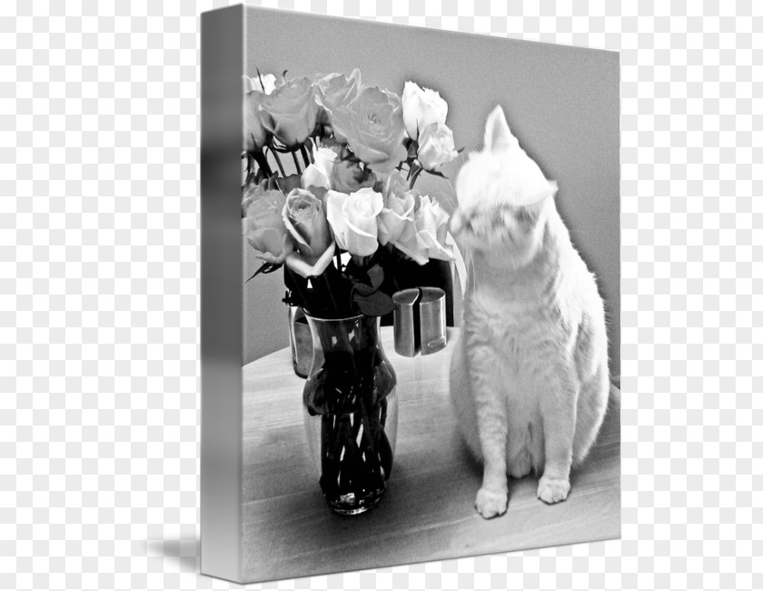 Stop And Smell The Roses Whiskers Dog Breed Cat Picture Frames PNG