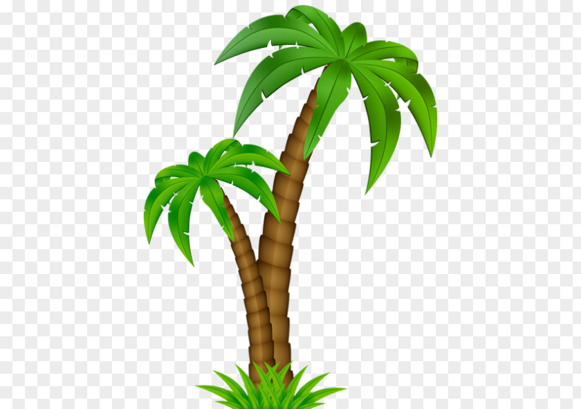 Coconut Palm Trees Clip Art Vector Graphics PNG