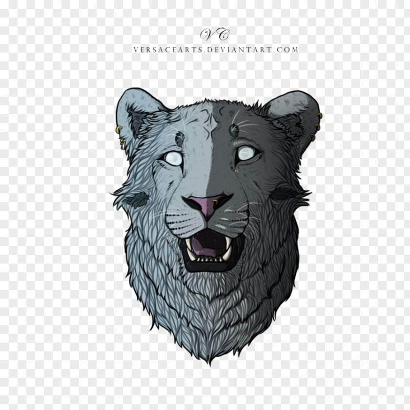 Lion Whiskers Snout Puma Black Panther PNG