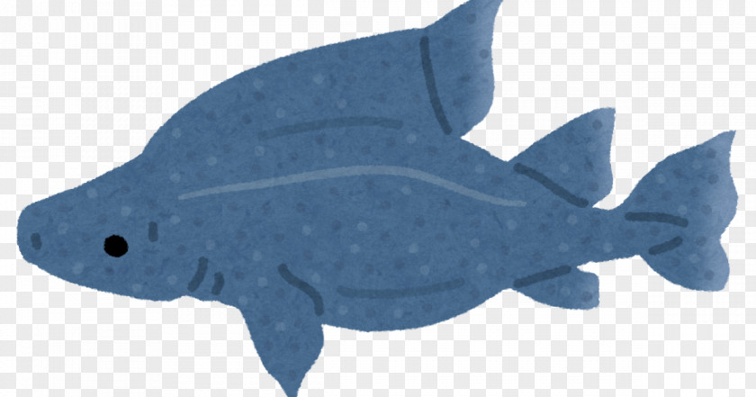 Nine Fish Marine Biology Mammal Fauna Animal PNG