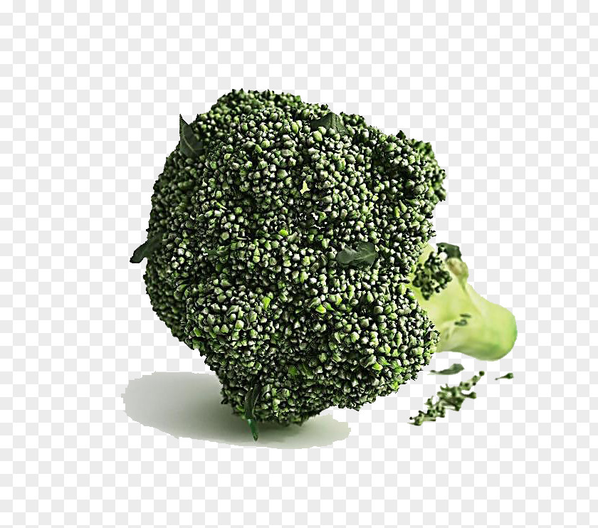 Broccoli Vegetables 3D Modeling Computer Graphics Download Cinema 4D PNG