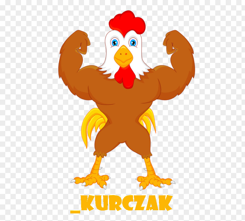 Chicken Vector Graphics Rooster Royalty-free Stock Illustration PNG