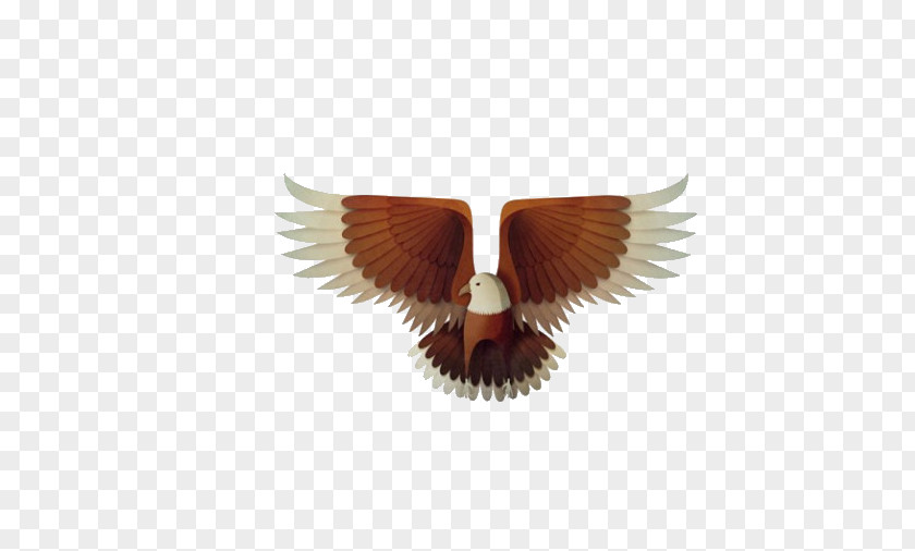 Eagle Bird Illustrator Illustration PNG
