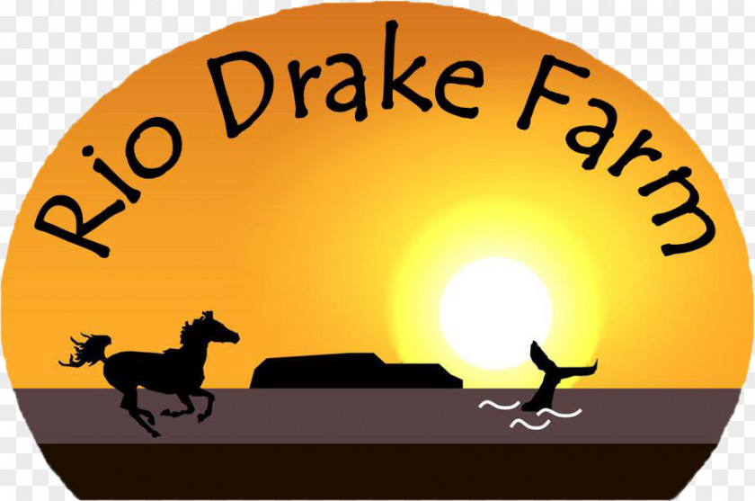 Frog Clip Art Rio Drake Farm Brand Logo PNG