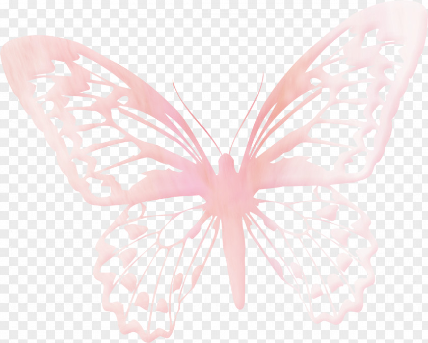 Pink Butterfly Insect Ouvrage Embroidery Lace PNG