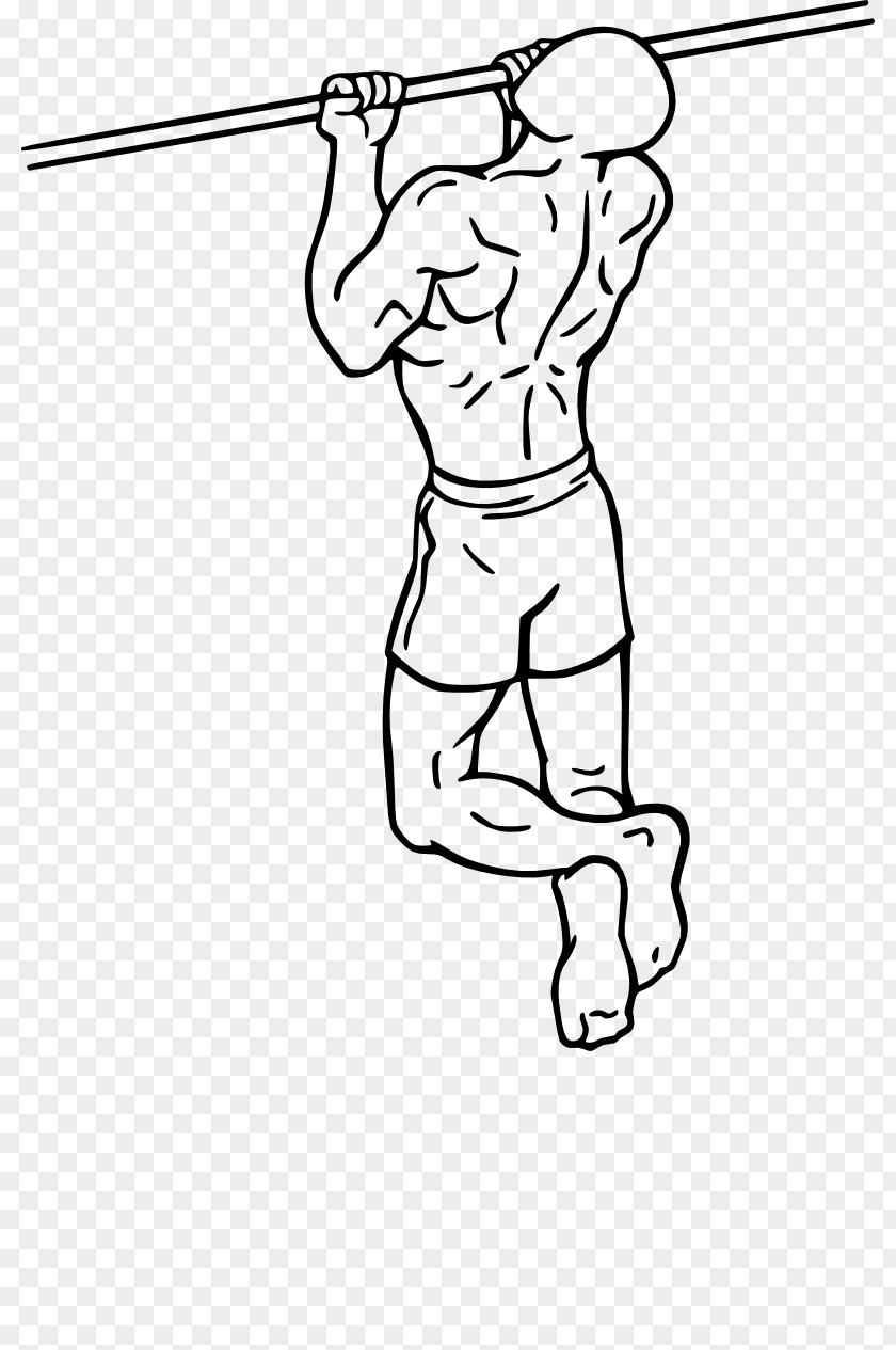 Pull Up Chin-up Pull-up Exercise Biceps Weight Training PNG