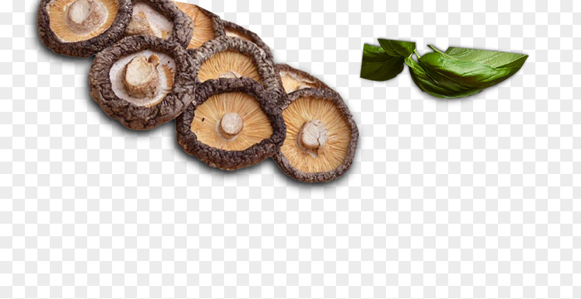 Enoki Mushroom Superfood PNG
