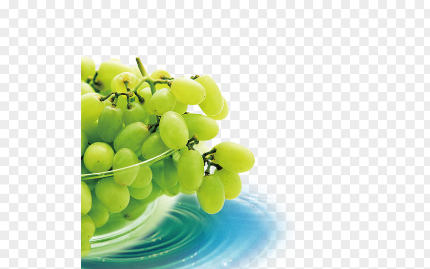 Grape Fruit Graphic Design Wallpaper PNG