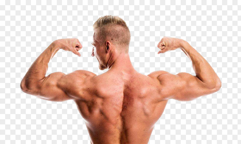 Muscle Explosion PNG