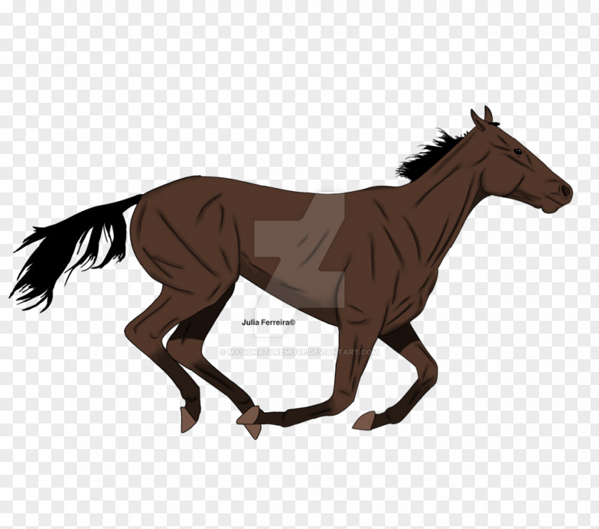 Mustang Foal Pony Stallion Animated Film PNG