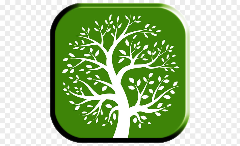 Tree Family Genealogy Clip Art PNG