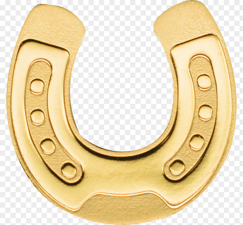 Horse Horseshoe Gold Coin Silver PNG