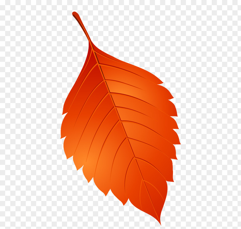 Leaf Image Clip Art PNG