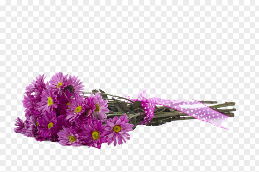 Bouquet Name Spanish Family Download PNG
