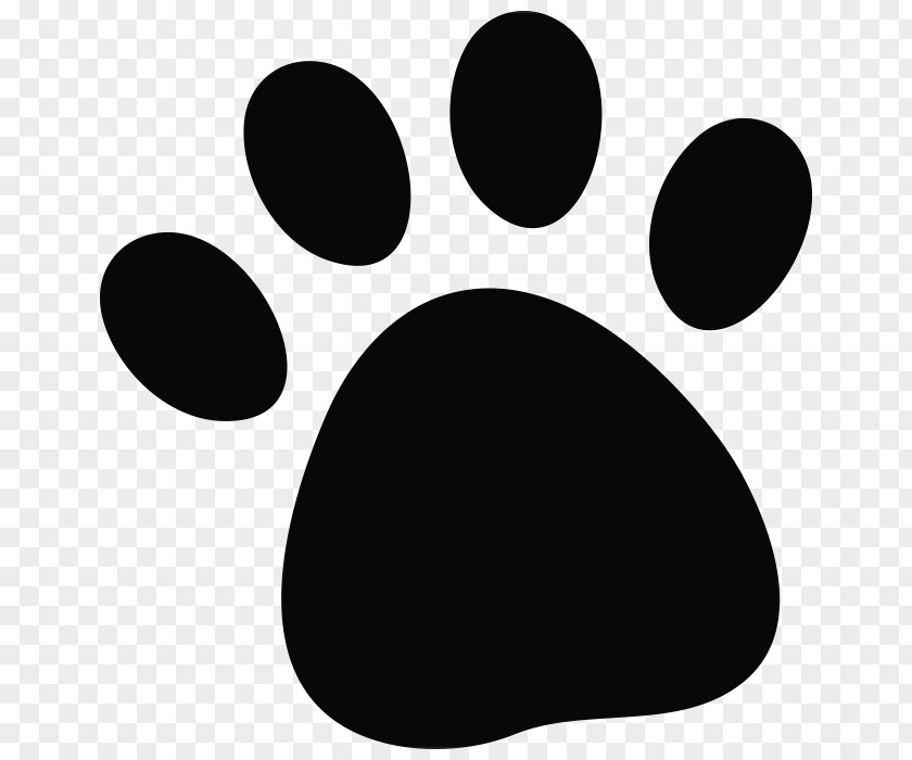Cat Calling All Paws Pet Grooming Dog PNG