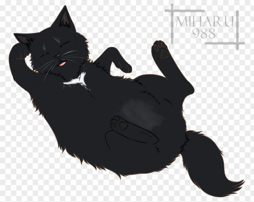 Cat Whiskers Paw Snout Claw PNG