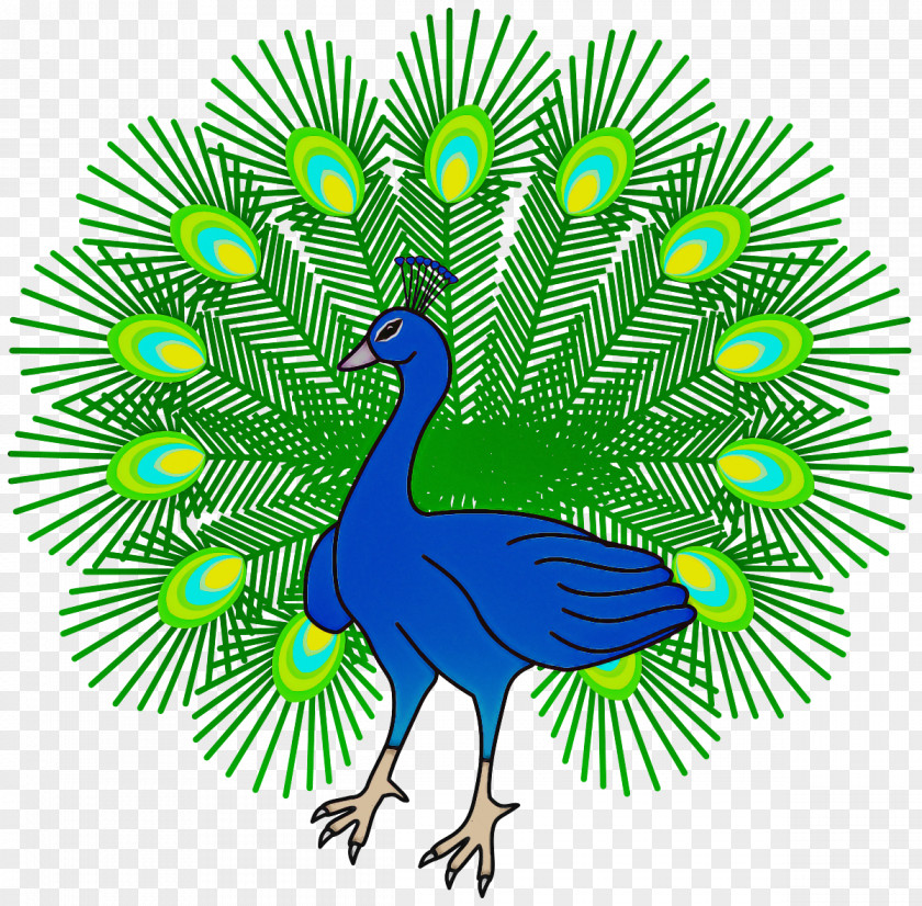 Peafowl Bird Green Beak Tree PNG