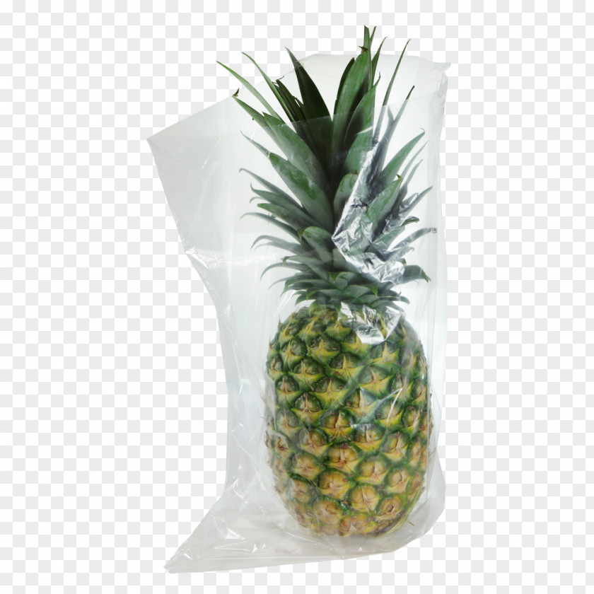 Pineapple Flowerpot PNG