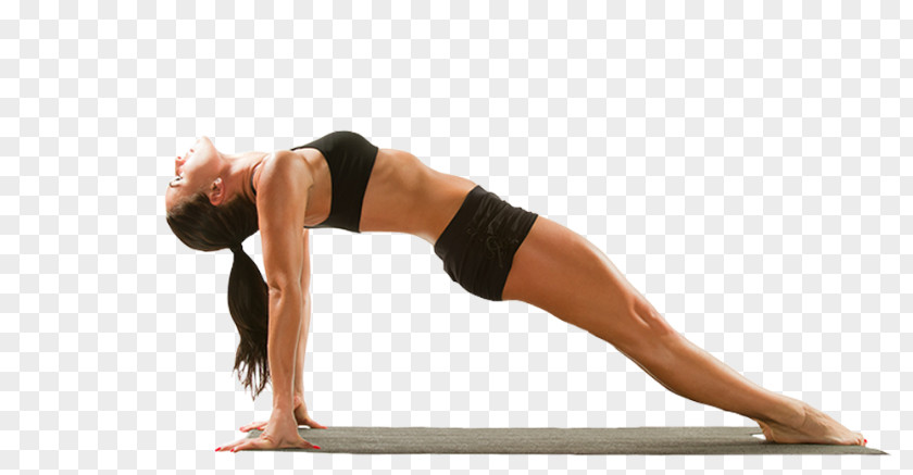 Yoga Pilates Exercise Stretching Weight Loss PNG