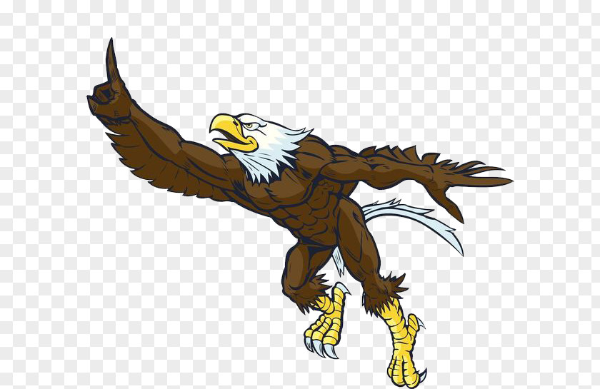 An Eagle Running Its Wings Bald Flight Cartoon PNG