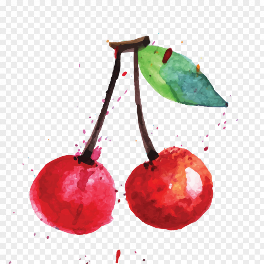 Cherry Food Fruit Art PNG