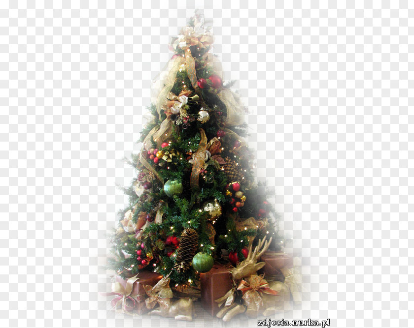 Christmas Tree Fir Ornament Santa Claus PNG