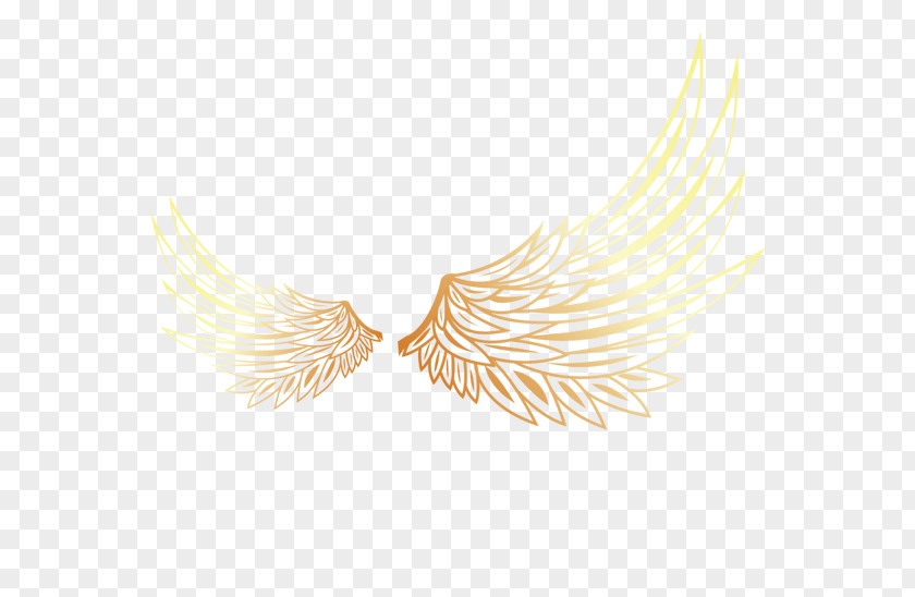 Hand-painted Wings Yellow Feather Pattern PNG
