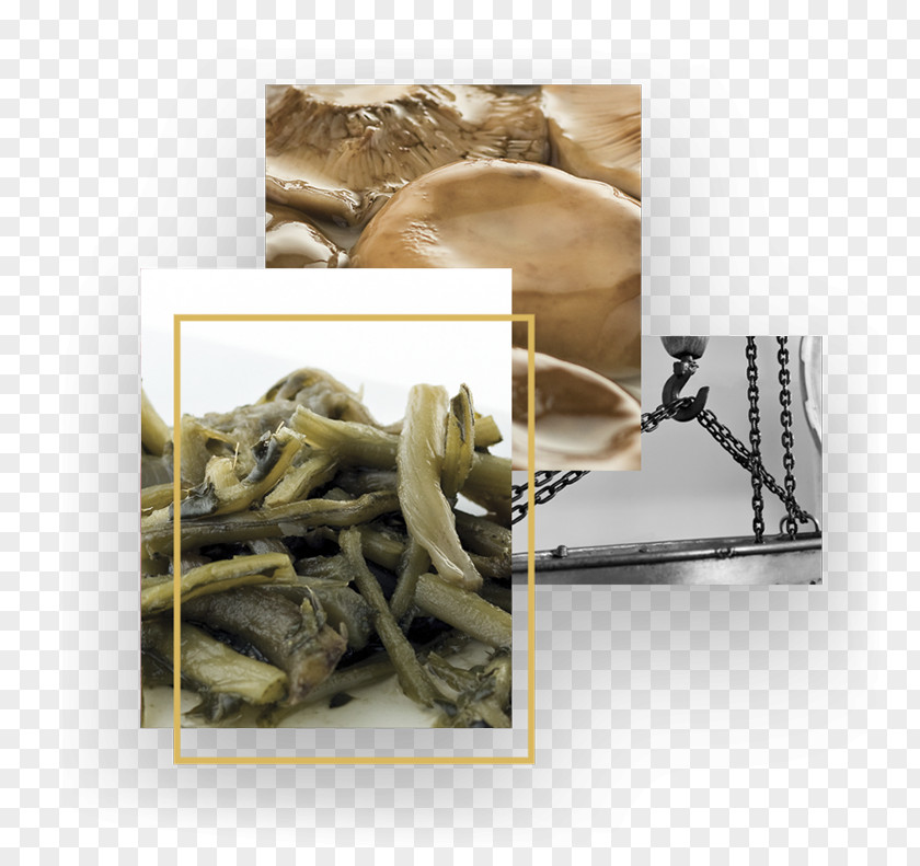 Olive Extremadura Food Pickling Cosmetics PNG