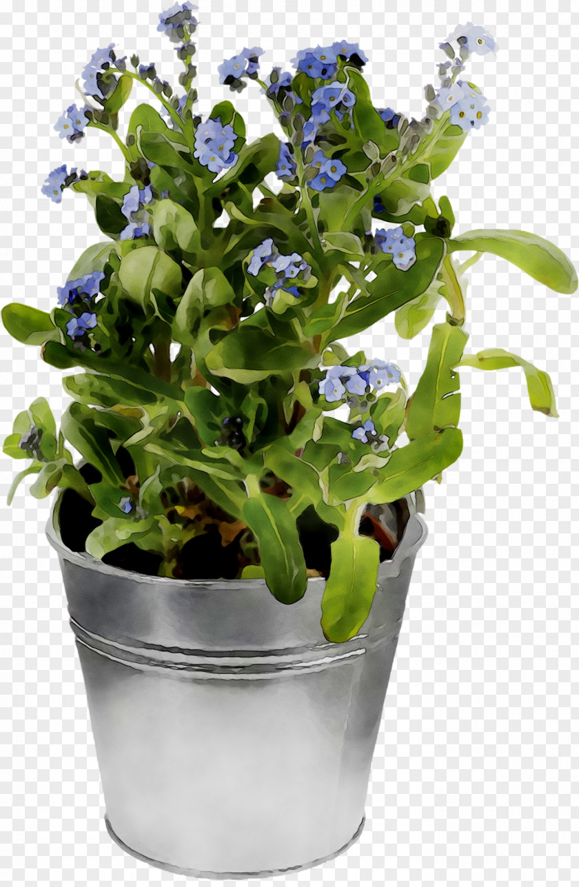 Spring Greens Herb PNG