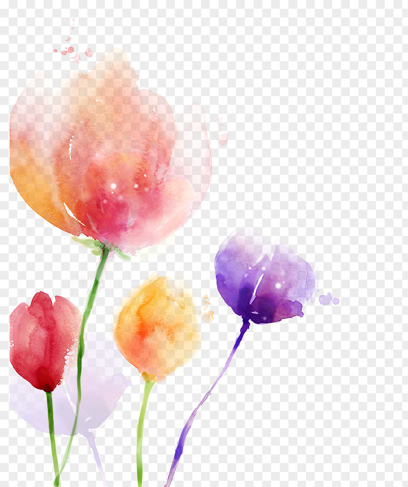 Tulip South Korea Watercolor Painting Flower PNG