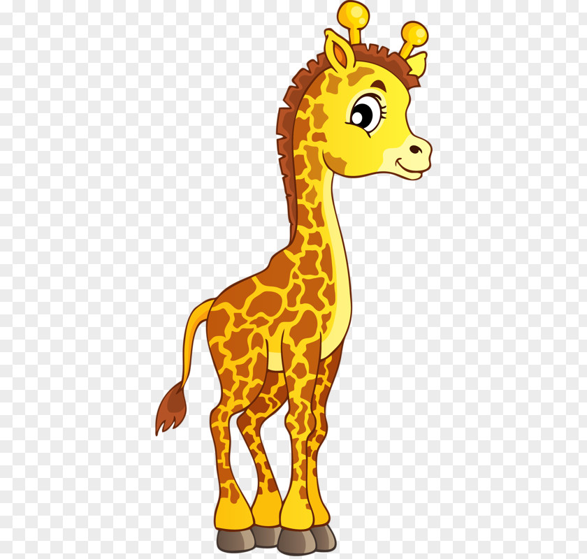 Cartoon Giraffe Northern About Giraffes Animal Coloring Book Clip Art PNG