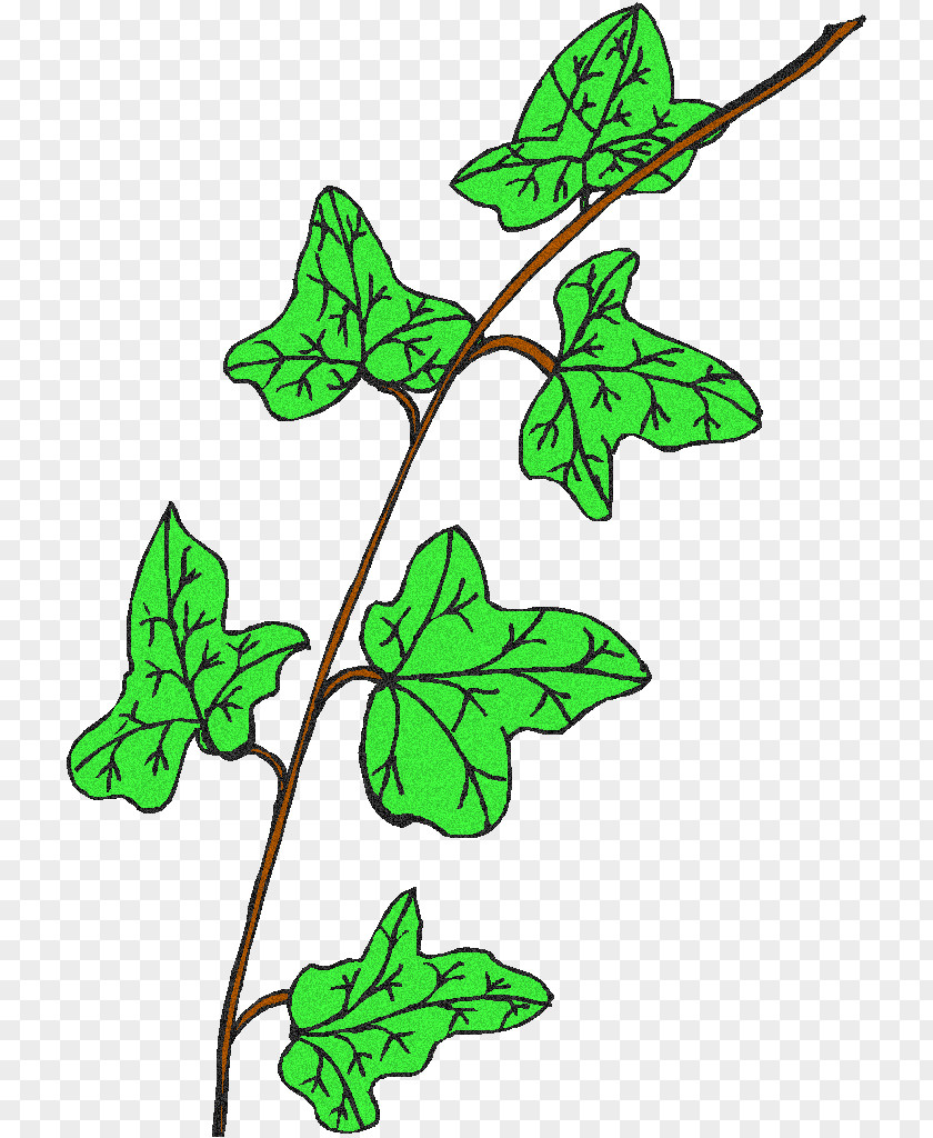 Leaf Plant Stem Flowering Line Clip Art PNG