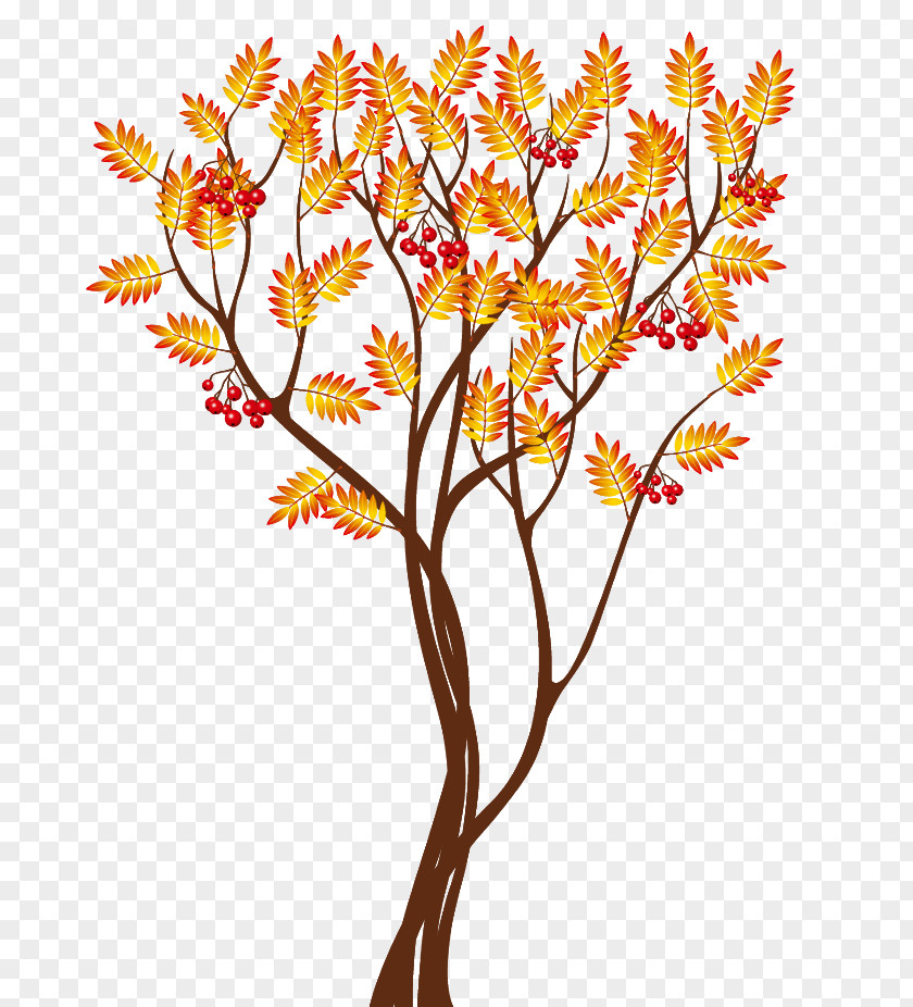 Transparent Autumn Tree Clipart Image Clip Art PNG