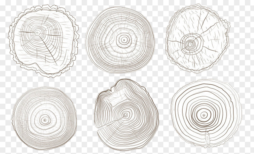 Tree Rings White Tableware Pattern PNG